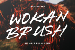 Wokan Font for Bold Branding and Creative Campaigns